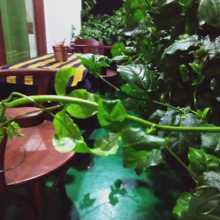 Elegant Home Stay เอลลา ภายนอก รูปภาพ